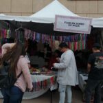 Feria de Lenguas Indígenas 3
